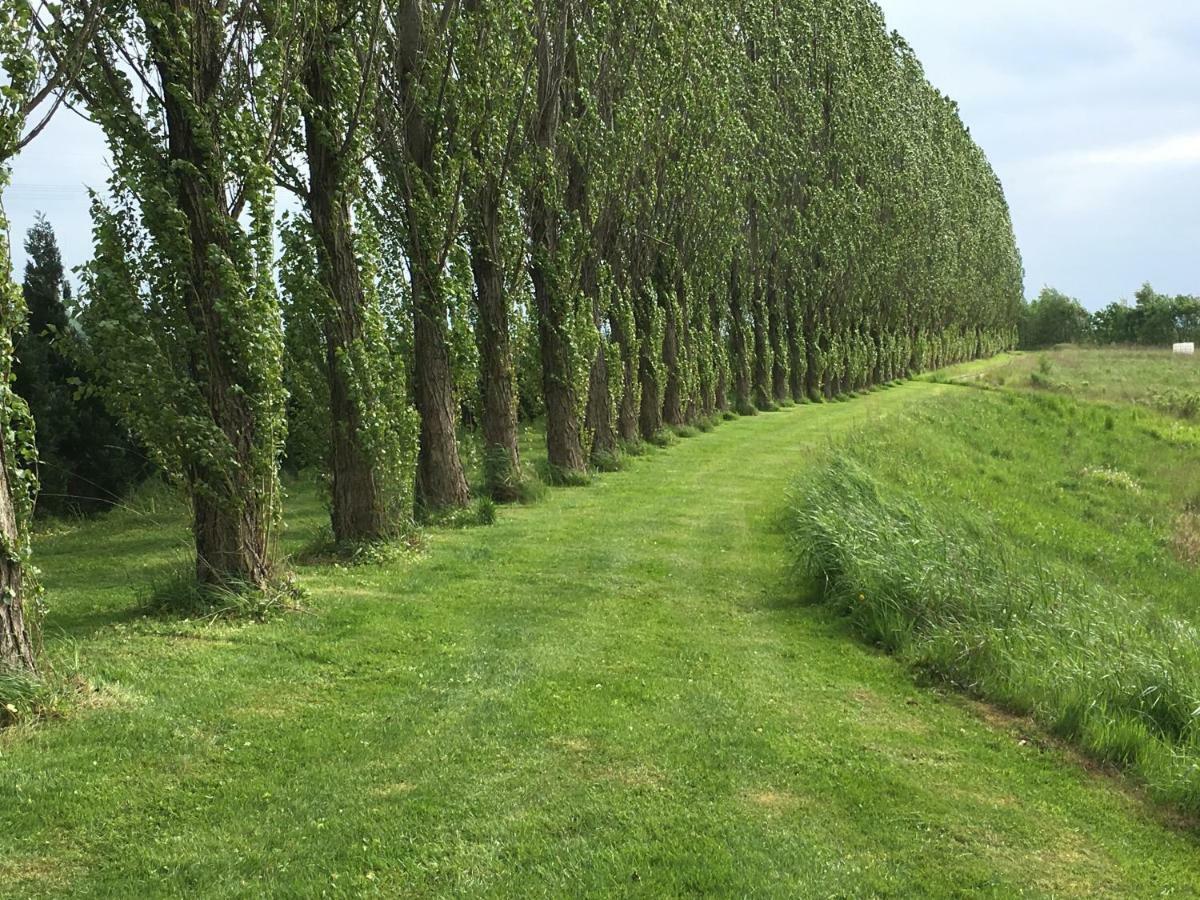 Fewo Gerichtsstube Im Rittergut Leppersdorf Bei Radeberg Fuer 6 Pers Wachau Buitenkant foto